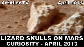 LIFE ON PLANET MARS - Lizard Skulls & Bones. ArtAlienTV
