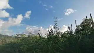 Bonaire Goto Lake