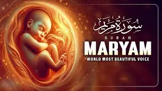 Surah Yaseen | Surah Yasin With English Translation | Beautiful Quran Recitation | The Quran Light,