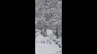 Eero Magga - Lapin kulta..🎵💖