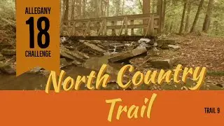 Allegany 18 Challenge - North Country Trail (Trail 9)