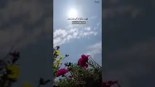 #tlp #new #news #status #shorts #shortfeed #live #trending #bayan #naat #duet #madina #babag #yaali