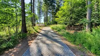 s:tek 48 &middot; Bodenschutzplatten als mobiler Gehweg f&uuml;r eine Veranstaltung im Wald