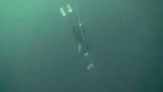 Guillaume N&eacute;ry in Constant weight no fins