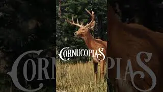 Passive income with raspberry pi providing Cornucopias game file distribution service