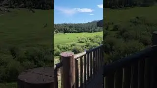 Beaver Meadows