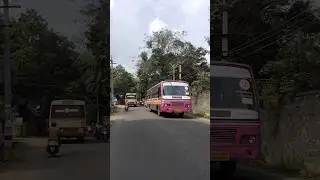 #shortsvideo #setcbus #pinkbus #tnstc #tnstc_bus_video #nagercoil #bustravels #tirunelveli #vadasery