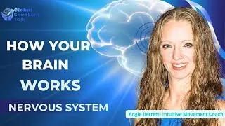 How Your Brain Works | Intuitive Movement | Brain Hacks | Angie B. | Global Speakers Talk| UT, USA