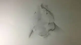 #art Easy drawing videos  - How to shade Nose - Five Pencil Method -4H-2H-HB-2B-4B-  Part 8