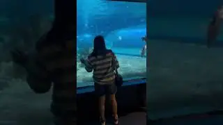 Inside Manila Oceanarium