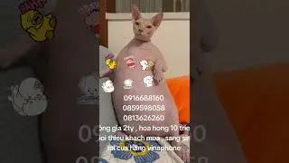 sim so đep