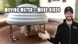 Moving Water Attracts More Birds to your Bird Bath