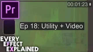 How to use Utility + Video Effects in Adobe Premiere Pro (Every Effect Explained)