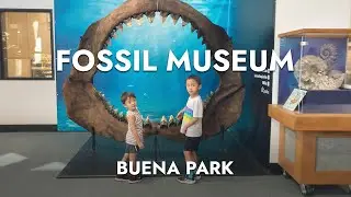 Ralph B. Clark Interpretive Center - Fossil Museum with Kids in Buena Park