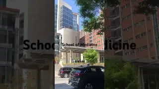 School of Medicine, University of Maryland - Baltimore #shorts