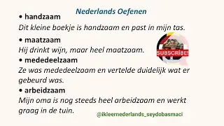 Bijvoeglijke naamwoorden in het Nederlands die eindigen op -zaam - NEDERLANDS LEREN - Learn DUTCH