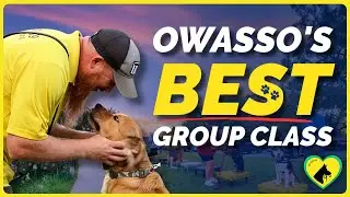 Obedience and Socialization for Owasso Dogs | Tip Top K9 Group Class