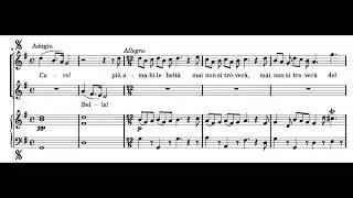 Caro! Bella! Più amabile beltà (Giulio Cesare - G.F. Händel) Score Animation