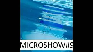 MICROSHOW#9