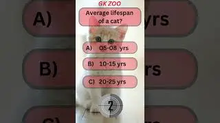 🐱 Cat IQ Quiz: How Smart Are You About Cats?😼| Fun Animal Trivia #CatIQQuiz #CatLovers #AnimalTrivia