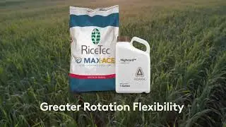 ADAMA Max-Ace