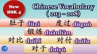 How to use 肚子度过锻炼对比对付对于 in Chinese Vocabulary Word Phrase Sentence Learn Chinese 学中文#HSK4