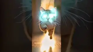 Meet the Cat with Supernatural #CatSuperpowers #MysticalCat #SupernaturalCat #ViralCats #MagicCat