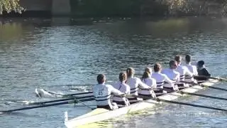Rund um den Wannsee - Berliner Ruder-Club