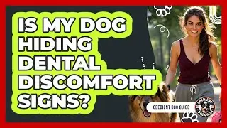 Is My Dog Hiding Dental Discomfort Signs?