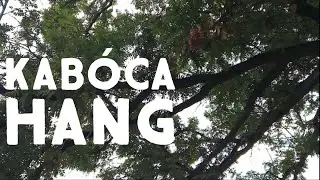 Kab&oacute;ca hangeffekt, cicada sound effect