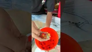 অদ্ভুত ম্যাজিক বল 🤩 Mini vlog l #shortsfeed #minivlog #vlog
