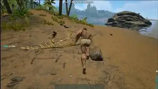 ark survival evolved 30-40 FPS ON INTEL HD GRAPHICS