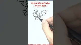 RUSA BELANTARA / Forest deer #shorts #cat #battlecats  #drawing #valorant #お絵かき #かわいい