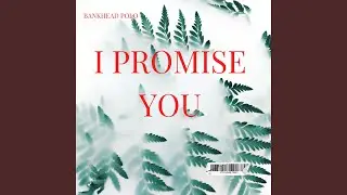 I Promise You