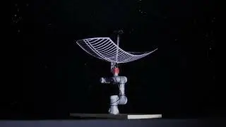Universal Poem to the Coalsack nebula