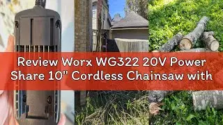 Review Worx WG322 20V Power Share 10