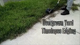 Most Overgrown Grass Edging - Timelpase