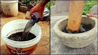 The Timeless Power of Traditional Compost Tea: Liquid Fertilizer for Centuries