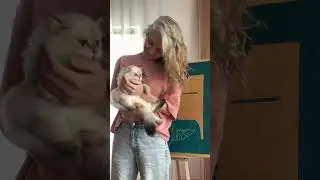 Мир тебя любит