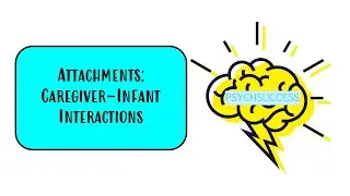 AQA A level - Attachments - Caregiver-Infant Interactions in Humans