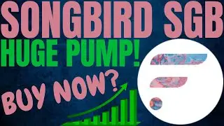 SONGBIRD SGB MAJOR PRICE UPDATE! SGB CRYPTO PRICE PREDICTION & ANALYSIS 2023! SONGBIRD CRYPTO PRICE