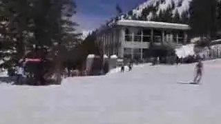 ALTA POACHED