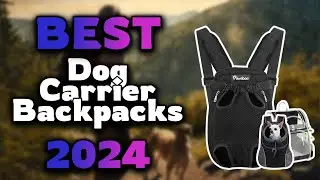 Top Best Dog Carrier Backpacks in 2024 & Buying Guide - Must Watch Before Buying!