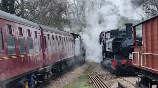 South devon railway winter steam gala 2025 8 Months late 