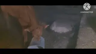 Жизнь в селе#Казахстан#Опять настали морозы.