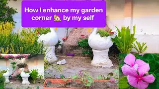 How l enhance my garden corner with my helper 🏡