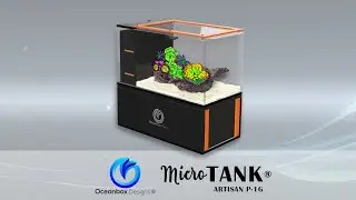 Oceanbox Designs&reg; MicroTank&reg; Artisan P-1G Peninsula 1 Gallon Micro AIO Aquarium - Introduction