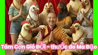 B&aacute;t Phong - thước đo M&agrave; Đạo💫💫💫#thichminhtue #doanvanbau 