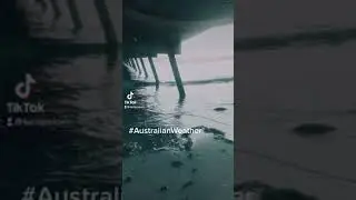 ADP: Item 2: Instagram: #Australian weather (1 of 2 in set)