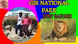 Gir National Park/Sasan Gir|Full details |Safari Timing | Sasan Gir Jungle Safari | Asiatic Lions